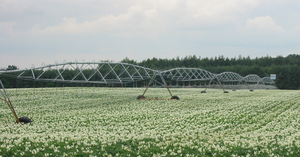 Avec fonction d'irrigation de <span class=keywords><strong>traduction</strong></span>, forte capacité d'escalade, haute efficacité de la machine d'irrigation à pointeur - Product Image 4