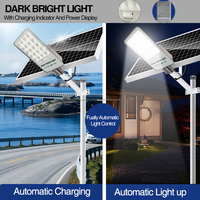 Projecteurs solaires LED extérieurs super lumineux IP65 en ABS moulé 100W-300W avec batteries intégrées pour éclairage routier