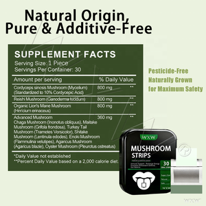 Bandes Orales Dissolvantes aux Champignons en Gros – Soutien Immunitaire, Complément de Champignons, Soulagement du Stress - Product Image 3