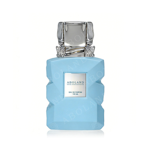 100ML Special Customize Design Luxury High EndPerfume Bottle Glass Bottle Empty Spray High-Grade Special Caps Perfume Packaging - Product Image 5