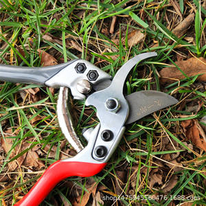 Hisaichiro Pruning Shears 40mm Blade Sk5 Steel <b>Butterfly</b> Structure For Fruit Tree <b>Gardening</b> Tools 20-30 Mm Trimming Diameter - Product Image 4