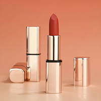 Lumière LED brillant à lèvres avec miroir logo personnalisé haute qualité Vegan étanche liquide rouge à lèvres non collant vide brillant à lèvres tubes