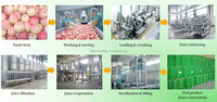 Kleine schaal appel- en perensap productielijn complete verwerkingsapparatuur