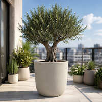 Grand pot de jardin moderne en fibre de verre et ciment, populaire pour la décoration, jardinières, vase de cour, vente en gros d'usine