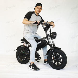 Disiyuan จักรยานไฟฟ้าเสือภูเขา1000W ระบบกันสะเทือนแบบเต็มรูปแบบ - Product Image 2