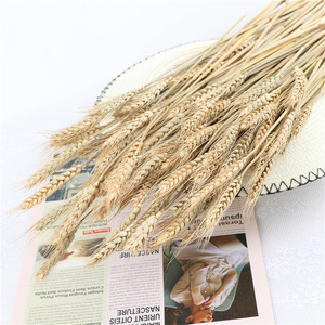 Bouquet d'épis de blé séchés Wen Hope, accessoires décoratifs naturels pour la maison et les mariages - Product Image 4