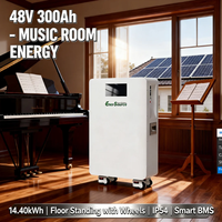 Baterai LiFePO4 48V 14kWh 300Ah untuk Sistem Surya All in One yang Dipasang di Dinding dengan Roda