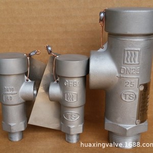 วาล์วนิรภัย KDA21F-40P DN25 แบบเกลียว สำหรับใช้งานกับไนโตรเจนเหลวในอุณหภูมิต่ำ - Product Image 1