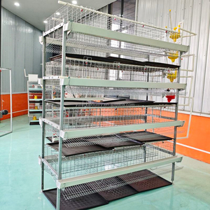Jaula para Gallinas Ponedoras Tipo H para 50000 Aves, Equipo Automático para Avicultura, Sistema <span class=keywords><strong>de</strong></span> Jaulas para Pollos Tipo H, Pollitos - Product Image 6