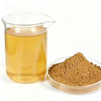 Poudre d'extrait de Morille pure en gros, soluble dans l'eau, pour aliments fonctionnels