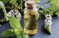 Saveur d'huile de menthe poivrée pure 100% extrait naturel distillé à la vapeur pour les boissons alimentaires et les soins bucco-dentaires