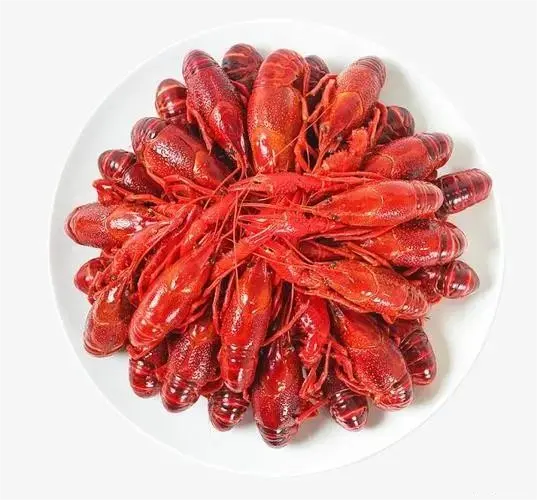 Penjualan laris Lobster beku hidup seluruh udang pedas lobster dari Qingzheng