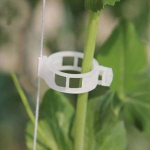 Clips de fixation pour serre, outil pour fixer les vignes, 100 pièces, en plastique, pour tomates, légumes, jardin, support de plantes - Product Image 1