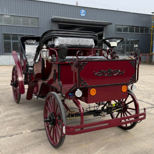 Fabricante de Carruajes de Caballos Eléctricos de Lujo de Cuatro Ruedas para Turismo, Carruaje de Caballos Eléctrico - Product Image 1