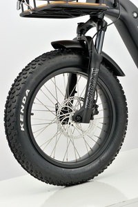 Vélo <span class=keywords><strong>cargo</strong></span> électrique à 3 roues avec batterie au lithium de 48V, capacité de 15Ah, cadre en aluminium, système de freinage à disque, <span class=keywords><strong>moteur</strong></span> de moyeu arrière - Product Image 2