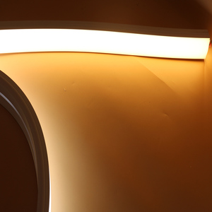 <span class=keywords><strong>Bande</strong></span> lumineuse LED <span class=keywords><strong>en</strong></span> silicone flexible, néon, 24V, décoration <span class=keywords><strong>de</strong></span> panneaux d'affichage extérieurs, IP65, température <span class=keywords><strong>de</strong></span> couleur rouge - Product Image 2
