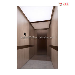 Nóng bán gse nhà máy sang trọng xây dựng khu dân cư thang máy thang máy cho khách sạn - Product Image 5