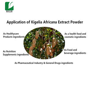 Hete Verkoop Beste Prijs Kigelia <span class=keywords><strong>Africana</strong></span> <span class=keywords><strong>Extract</strong></span> Kigelia <span class=keywords><strong>Africana</strong></span> Fruit Poeder Kigelia <span class=keywords><strong>Africana</strong></span> Poeder - Product Image 4
