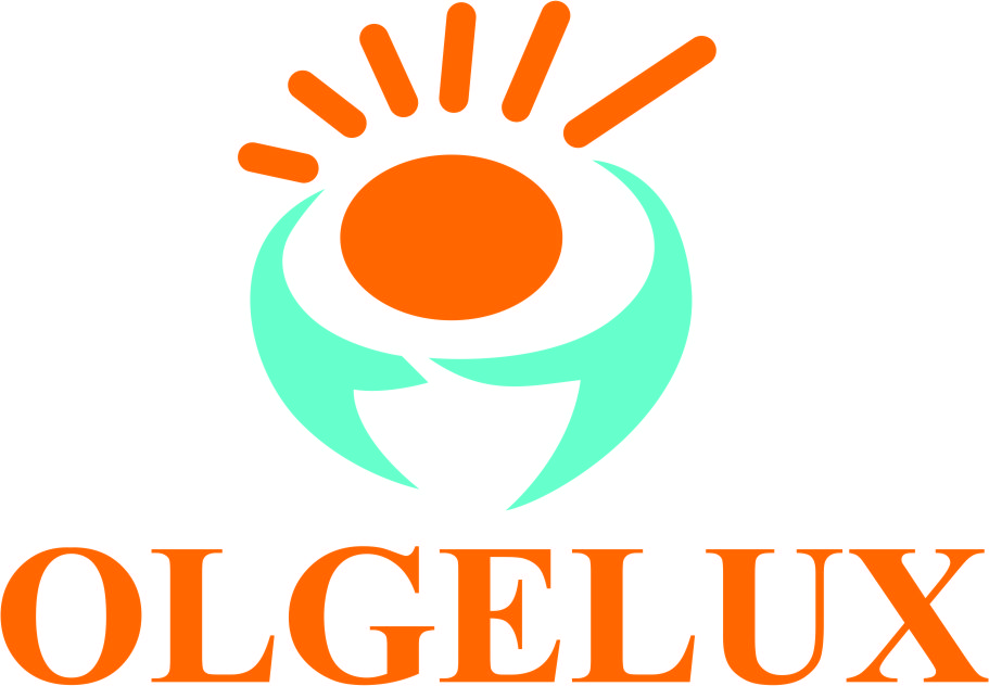 Shenzhen Ougesi Optoelectronics Technology Co., Ltd. logo