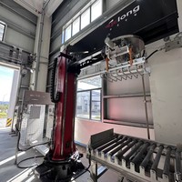 Pince de préhension robotisée de palettisation PLC de haute qualité, entraînement pneumatique 380V, 800-200 cycles/heure pour usage domestique