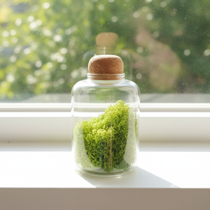7*11cm <strong>Small</strong> Modern Transparent Hydroponic Borosilicate Glass Tabletop Vases with Cork Lid for Home Wedding Christmas - Product Image 3