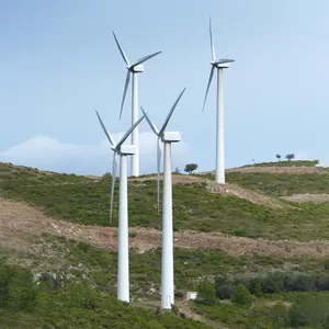 800KW alternatif enerji jeneratörleri yatay rüzgar türbini rüzgar santral