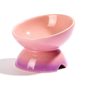 Kleine Keramik Tierfutterschale, Erhöhte Katzennäpfe, Gekippte Erhöhte Futter- oder Wassernäpfe - Product Image 2