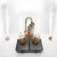 Système d'allumage à étincelles froides D02, machine télécommandée, fontaine de feux d'artifice froids en plastique pour mariages et événements festifs - Meilleure vente