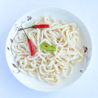 Nouilles Udon instantanées japonaises fraîches Sunrise BRC ISO Halal, soupes Yum Yum, faibles en glucides, sans sucre, faibles en sel