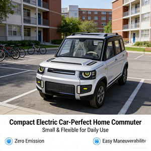 Mini <span class=keywords><strong>SUV</strong></span> à énergie nouvelle, best-seller, à faible vitesse, pour usage domestique - Product Image 4