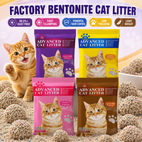 Litière pour chat en bentonite écologique professionnelle, Arena Para Gato Bentonita, parfumée, 99% sans poussière, agglomération rapide, pour tous les propriétaires de chats