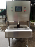 Automatische Mango Pitting Dunschiller Peeling En Snijden Machine Oranje Perzik Coring Snijmachine