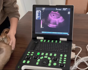 MC1000Vet Smart ARM Sistema de ultrasonido Escáner de ultrasonido veterinario portátil Usg para criadores de perros - Product Image 4