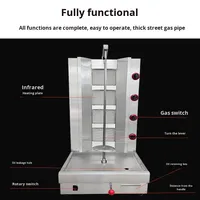 Machine à shawarma électrique, rôtissoire verticale pour kebab, gyros, grill commercial pour snacks, 9000W pour restaurant et cuisine