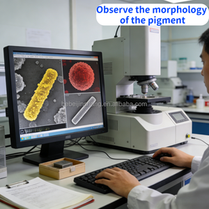 Pigmento Resistente a los Álcalis y a la Decoloración <span class=keywords><strong>para</strong></span> Componentes Prefabricados y <span class=keywords><strong>Mortero</strong></span> Seco, Certificado RoHS, Óxido de Hierro Amarillo - Product Image 4