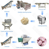Ligne de production de poudre d'ail déshydratée