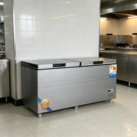 Congélateur coffre horizontal commercial en acier inoxydable sur mesure à 2 portes, double température, pour la maison