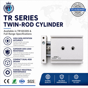 Cilindro de Doble Vástago Tipo Airtac TR25X30S |   Cilindro de Aire de Aleación de Aluminio de Doble Eje, 25 mm de Diámetro Interior y 30 mm de Carrera, para Tableros Solares Fotovoltaicos - Product Image 5