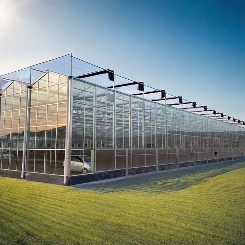 屋外植栽用のマルチスパンフレーム亜鉛メッキ鋼とガラスを備えた大型農業温室