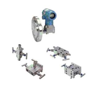 Transmisor de Presión Diferencial 2051 para Rosemounte - Product Image 6