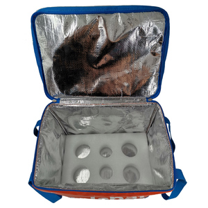 Deliveroo Deliveryhero Insulated for Grocery Travel Tote Commercial Meal Orange Talabat <strong>Small</strong> Thermal Food Delivery <strong>Cool</strong> <strong>Bag</strong> - Product Image 6