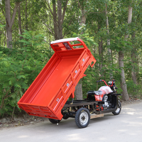 Tricycle à essence à trois roues à couple élevé avec boîte de chargement personnalisable pour le transport quotidien de marchandises