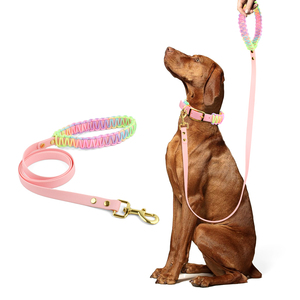 छोटे मध्यम आकार के कुत्तों के लिए लक्जरी कुत्ते लेश pvc हैंडब्रेएडेड नरम आधुनिक पालतू पट्टा - Product Image 5