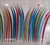 Plumas Sintéticas de Faisán Lady Amherst para Disfraces de Carnaval y Samba, de 60-160 cm
