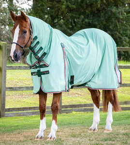 Horse Fly Rug Diseño de malla ligera con poliéster transpirable Perfecto para la protección contra moscas de verano - Product Image 6