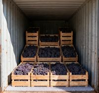 Hete Aanbieding Verse Rode Globe Druiven Zonder Pit Hoge Brix 19-22 °   Shandong Oorsprong 5kg/10kg Karton Exportkwaliteit