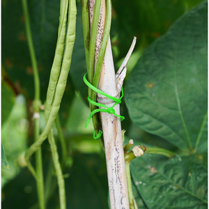 Gardening Cable Ties 20 30 50 100 Type Green Plastic Rust Resistant Binding Rope For Vine Branch Bundling Home Garden Use - Product Image 2