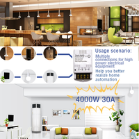 Interrupteur intelligent 220V 30A, module de relais à télécommande sans fil, disjoncteurs, contrôleur RF433Mhz, compatible avec Tuya Alexa Google Home