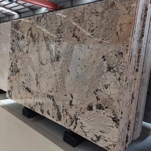 <span class=keywords><strong>Prix</strong></span> du <span class=keywords><strong>granit</strong></span> de quartzite blanc exotique de Patagonie au Brésil - Product Image 5