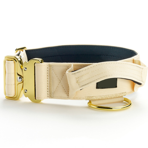 Hochwertiges taktisches Hundehalsband-Geschirrset Kampf-Nylon geschirr mit Metalls chnalle - Product Image 3